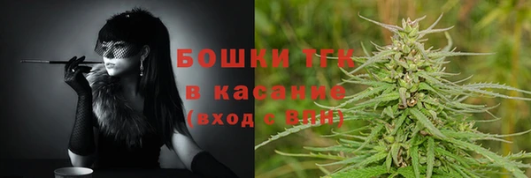 стафф Михайловск