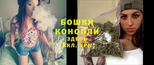 стафф Михайловск