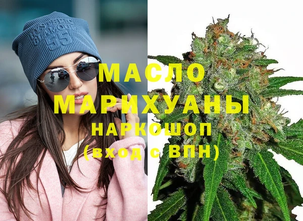 тгк Михайлов