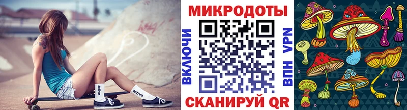 Галлюциногенные грибы Psilocybe  Купить закладки  Чапаевск 